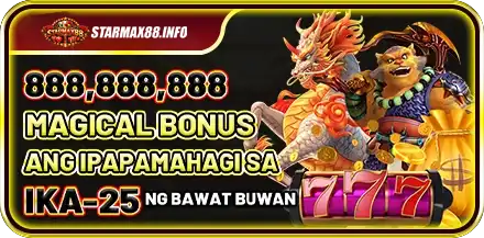 STARMAX88 Register